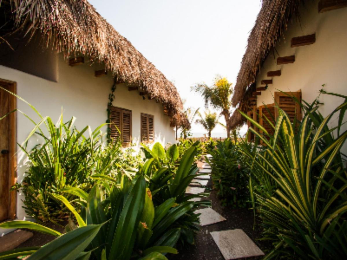 Hotel Paredon Surf House El Paredón Buena Vista Exteriér fotografie