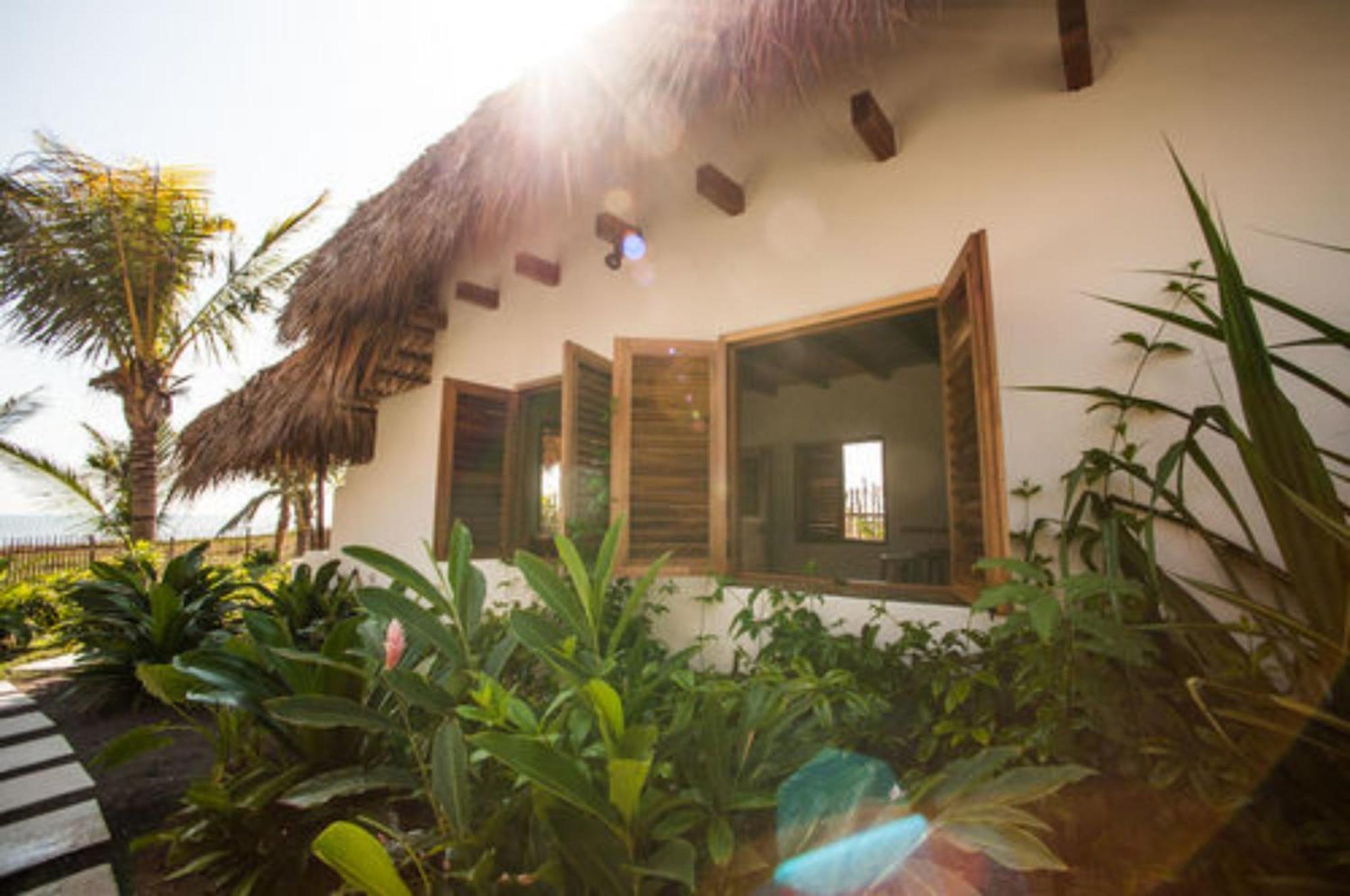 Hotel Paredon Surf House El Paredón Buena Vista Pokoj fotografie