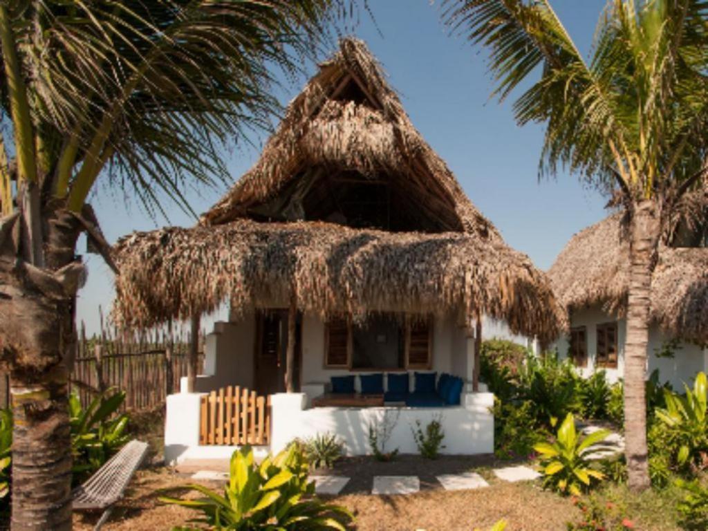 Hotel Paredon Surf House El Paredón Buena Vista Pokoj fotografie