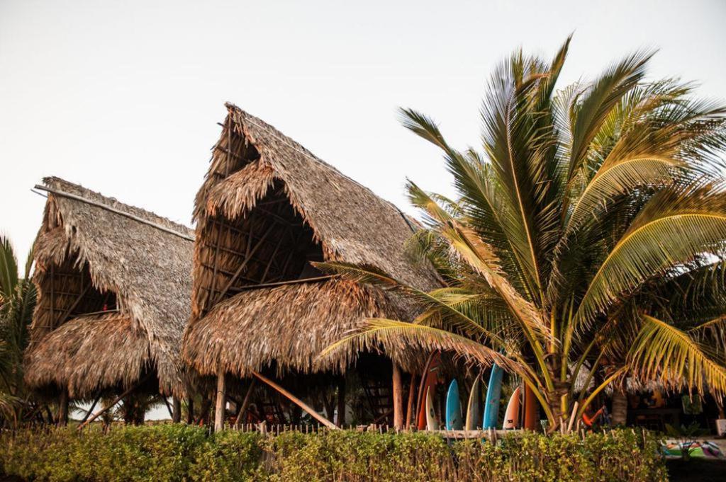 Hotel Paredon Surf House El Paredón Buena Vista Pokoj fotografie